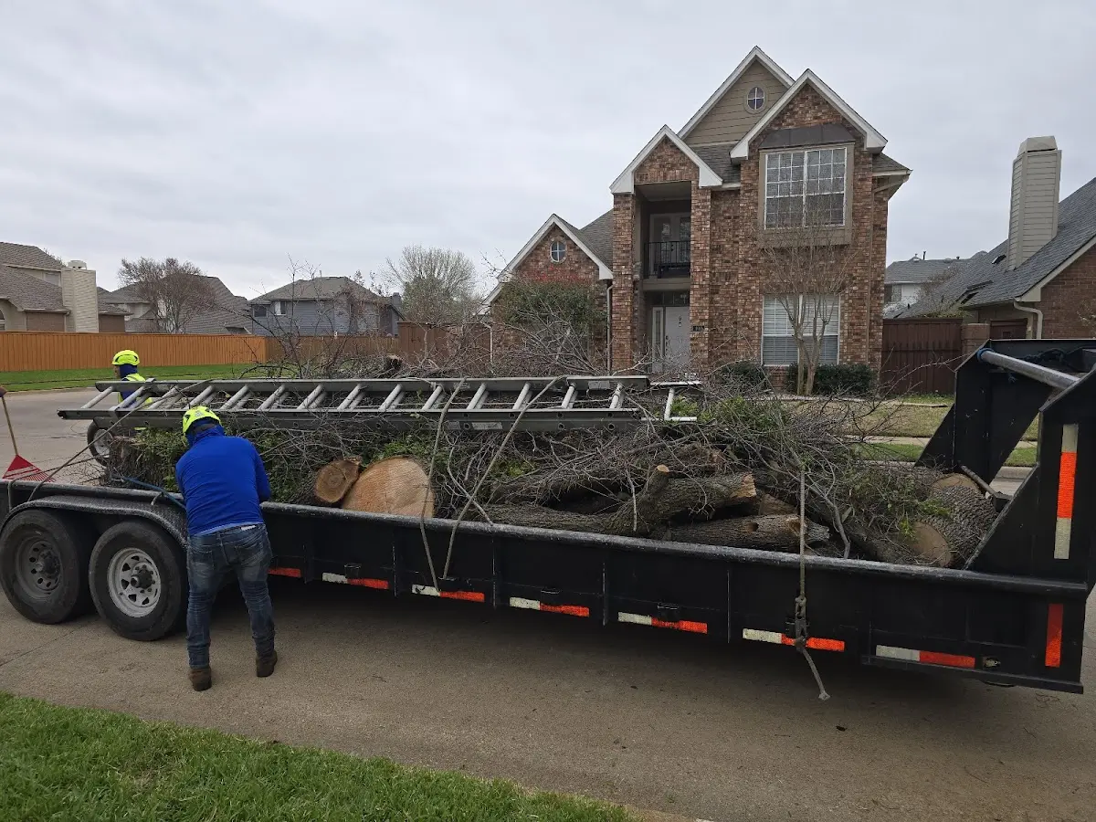 Expert Tree Pest Control with proper safety equipment in Crystal Springs